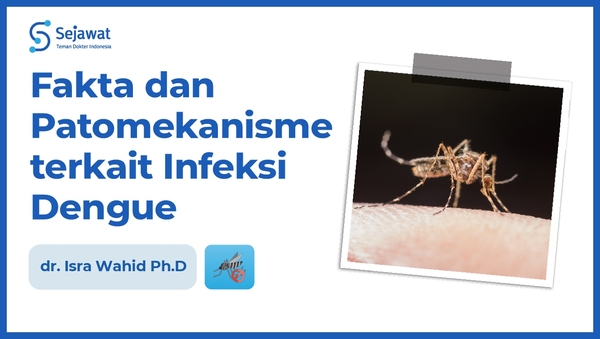 Fakta dan Patomekanisme terkait Infeksi Dengue