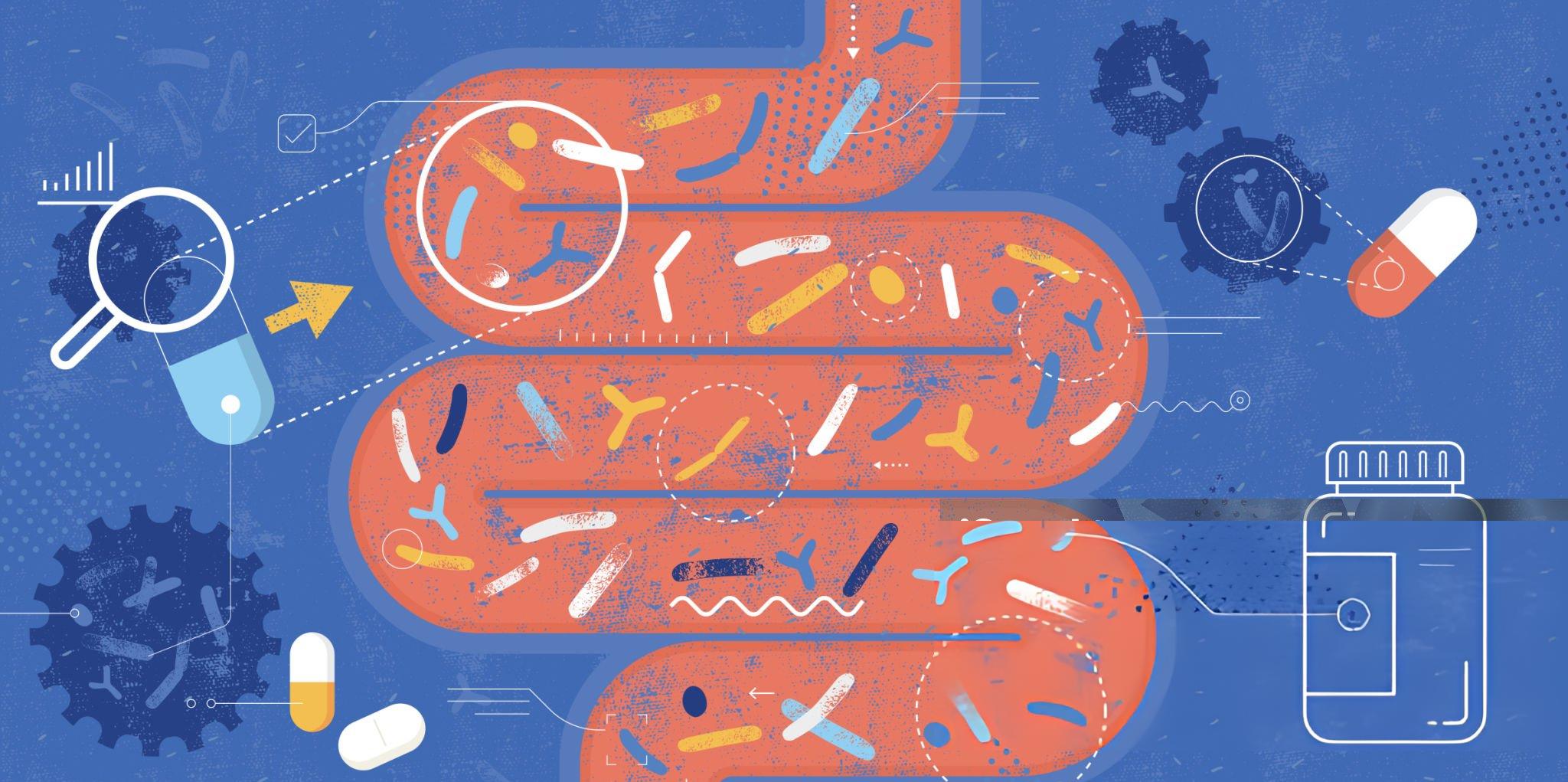 Mekanisme dan Perbedaan Probiotik, Prebiotik, Postbiotik, dan Sinbiotik